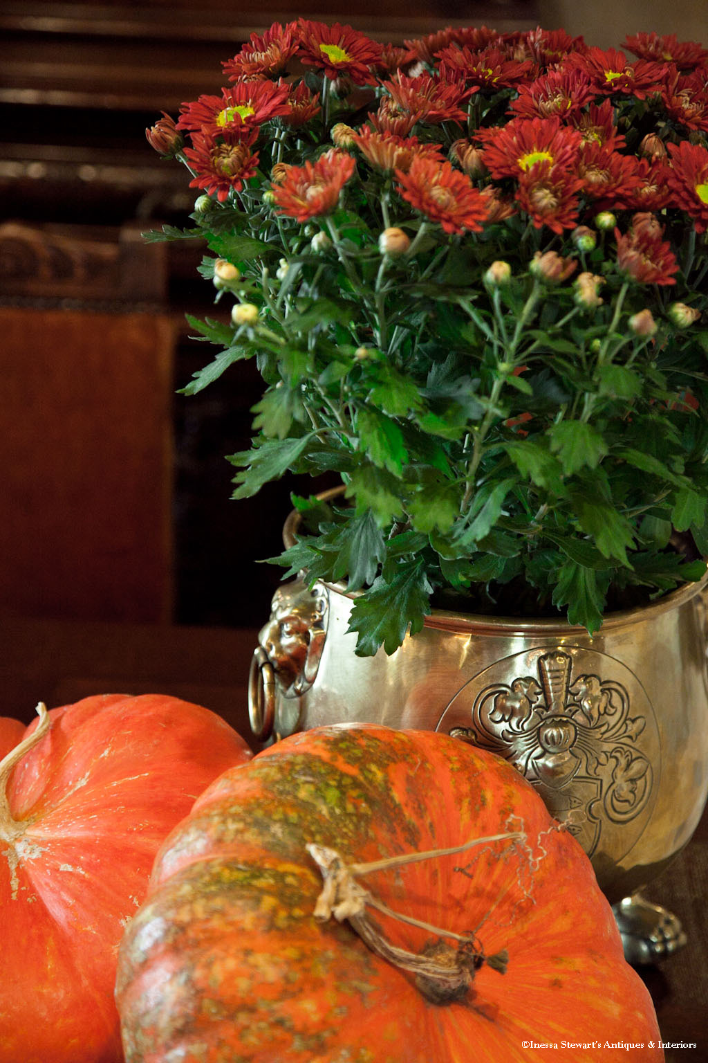 French Antique Planter, Pumpkins, and Flowers