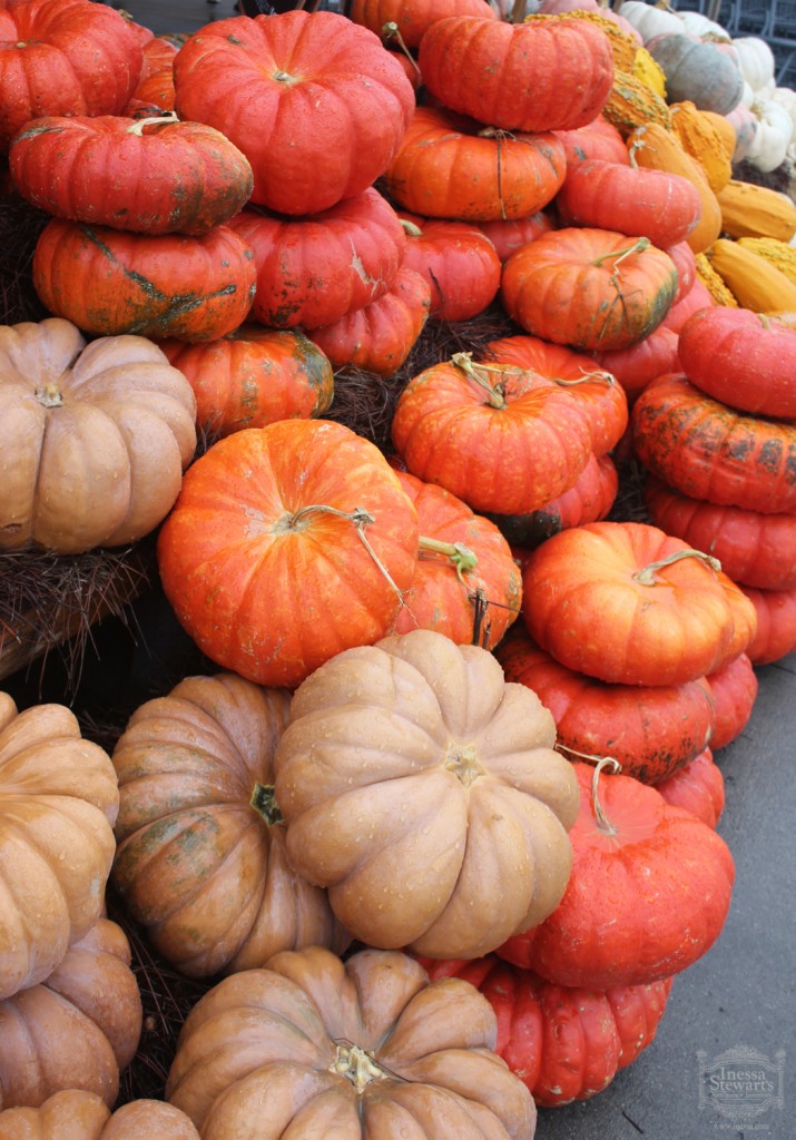 Pumpkins perfect for antique accessories and furniture fall table decorating 