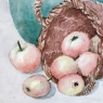 Mid-Century Hand Painted Watercolor Still Life by Pol Antonis