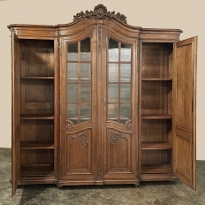 19th Century Grand Liegoise Louis XIV Bookcase