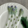 Antique French Majolica Asparagus Plate by Salins