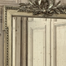 19th Century French Louis XVI Giltwood Mirror