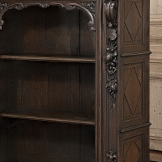 19th Century French Renaissance Revival Oak Vitrine ~ Bookcase