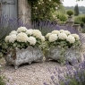 Pair Antique French Louis XIV Style Cast Iron Jardinières