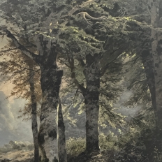 19th Century Framed Charcoal Landscape by Heinrich Böhmer (1852–1930)