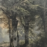19th Century Framed Charcoal Landscape by Heinrich Böhmer (1852–1930)