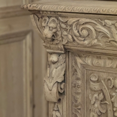 19th Century French Renaissance Revival Carved Bookcase in Stripped Oak