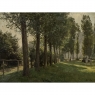 Antique Belgian Oil on Canvas Painting “Cows Grazing” by Xavier Wurth (1869-1933)