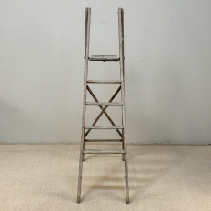 19th Century Rustic French Pine Orchard Step Ladder