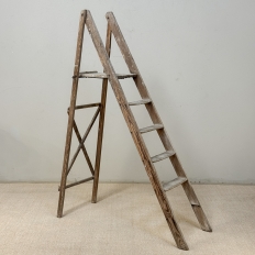 19th Century Rustic French Pine Orchard Step Ladder