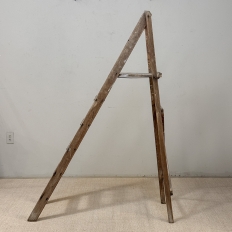 19th Century Rustic French Pine Orchard Step Ladder