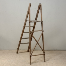 19th Century Rustic French Pine Orchard Step Ladder