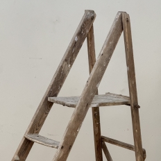 19th Century Rustic French Pine Orchard Step Ladder