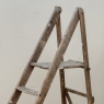 19th Century Rustic French Pine Orchard Step Ladder