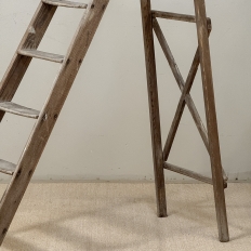 19th Century Rustic French Pine Orchard Step Ladder