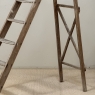19th Century Rustic French Pine Orchard Step Ladder