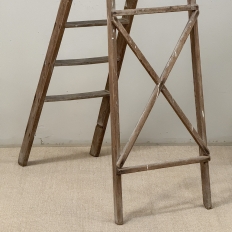 19th Century Rustic French Pine Orchard Step Ladder