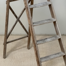 19th Century Rustic French Pine Orchard Step Ladder