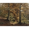 Framed Oil Painting on Canvas by Fernand Ley (1910-1973) 'Path in the Forest'