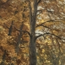 Framed Oil Painting on Canvas by Fernand Ley (1910-1973) 'Path in the Forest'