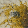 Framed Oil Painting on Canvas by Clemence Biron circa 1925 'Forsythia'